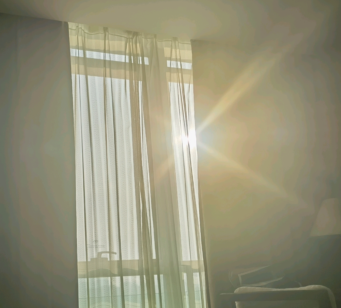 台风过去了，见到了久违的太阳了，一觉醒了，阳光明媚。