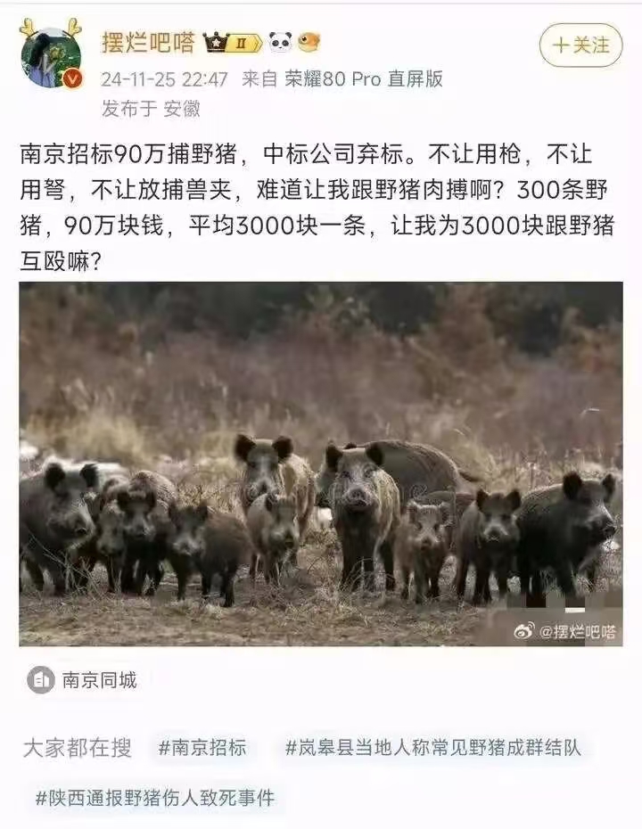 打野猪是这样肉搏的吗？我有点怀疑。3000一头，卖野猪肉，根本赚不回来，会员制打猎可以，但禁止就不行了！