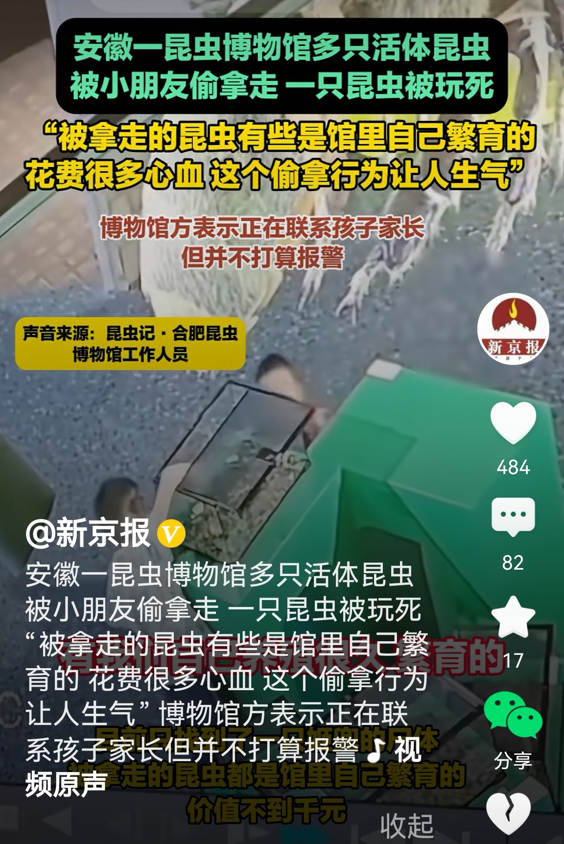 昆虫博物馆展出，不设防护，不加盖子，面对小朋友，有点诱人为娼的意味，小孩子出没的地方，应该做好防护才对。