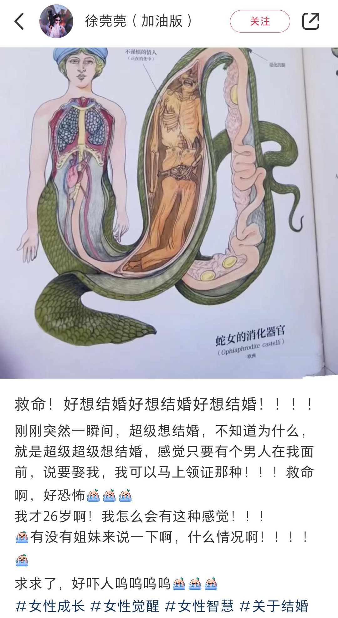 拳师的心声。
