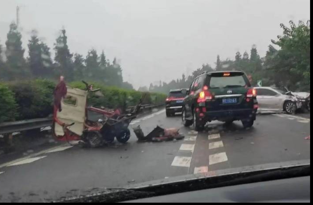 #该不该全面禁止老头乐上路#老头乐根本就不该出现在公路上，更别说高速公路了，老头乐最大的问题，没有保险，没有驾驶证！