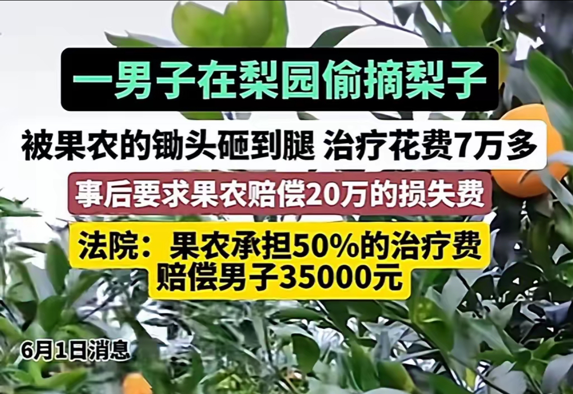 偷梨被发现逃跑，过程中被梨主人手中的锄头打伤，看病花7万，索赔20万，法院判决3.5万。
这个官司合理吗？肯定不合理。这个官司合法吗？是合法的。
盗窃，你可以报警，可以控制，却不可以打伤，打伤就要承担