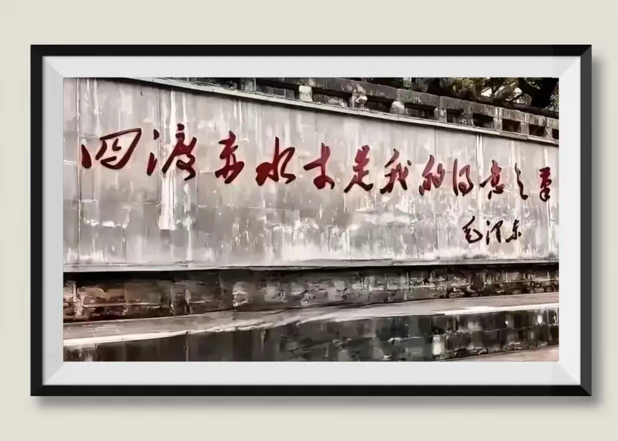 毛体草书，你能认出多少个字？我全都能认出，了不起吧。