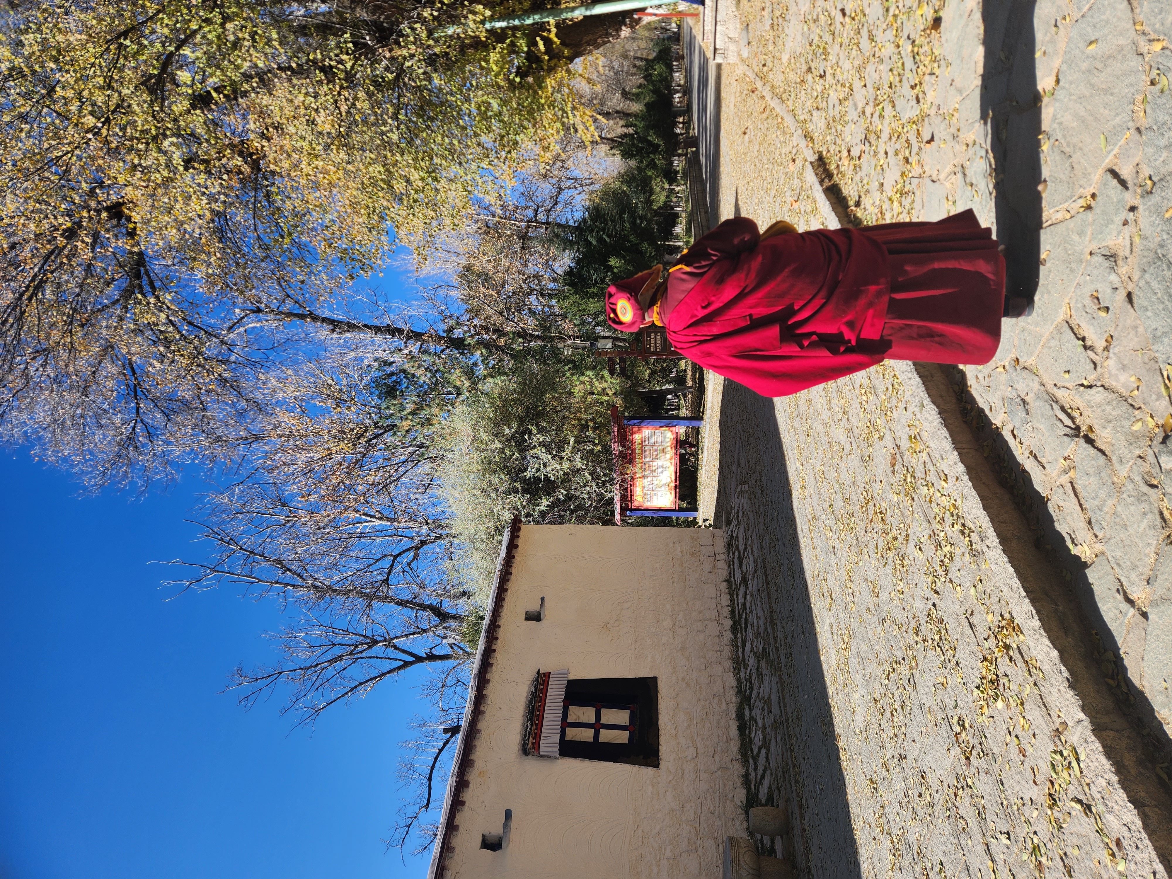 在罗布林卡，看见一个修行者，悠然而过！