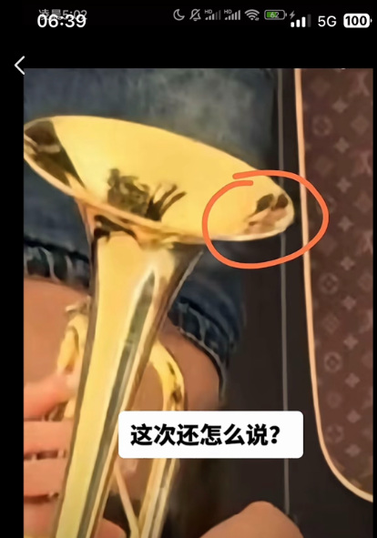 这是什么品牌的乐器呢？没见过这个商标！