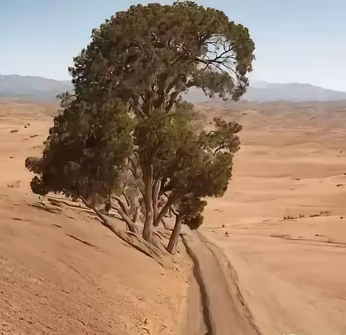 我认为这事人工智能生成的画，而不是大自然的杰作。