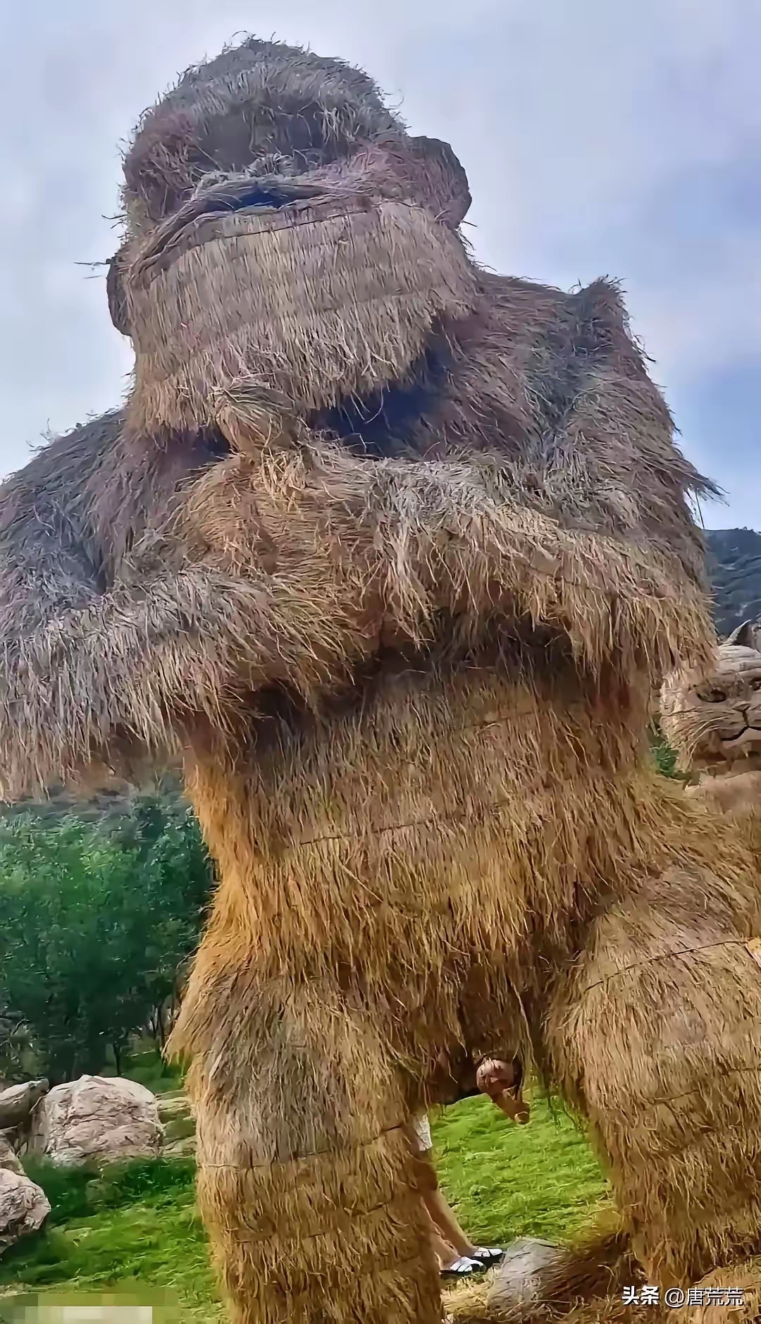 请原谅，我不厚道的笑了，关键是那个位置，也太准确了！