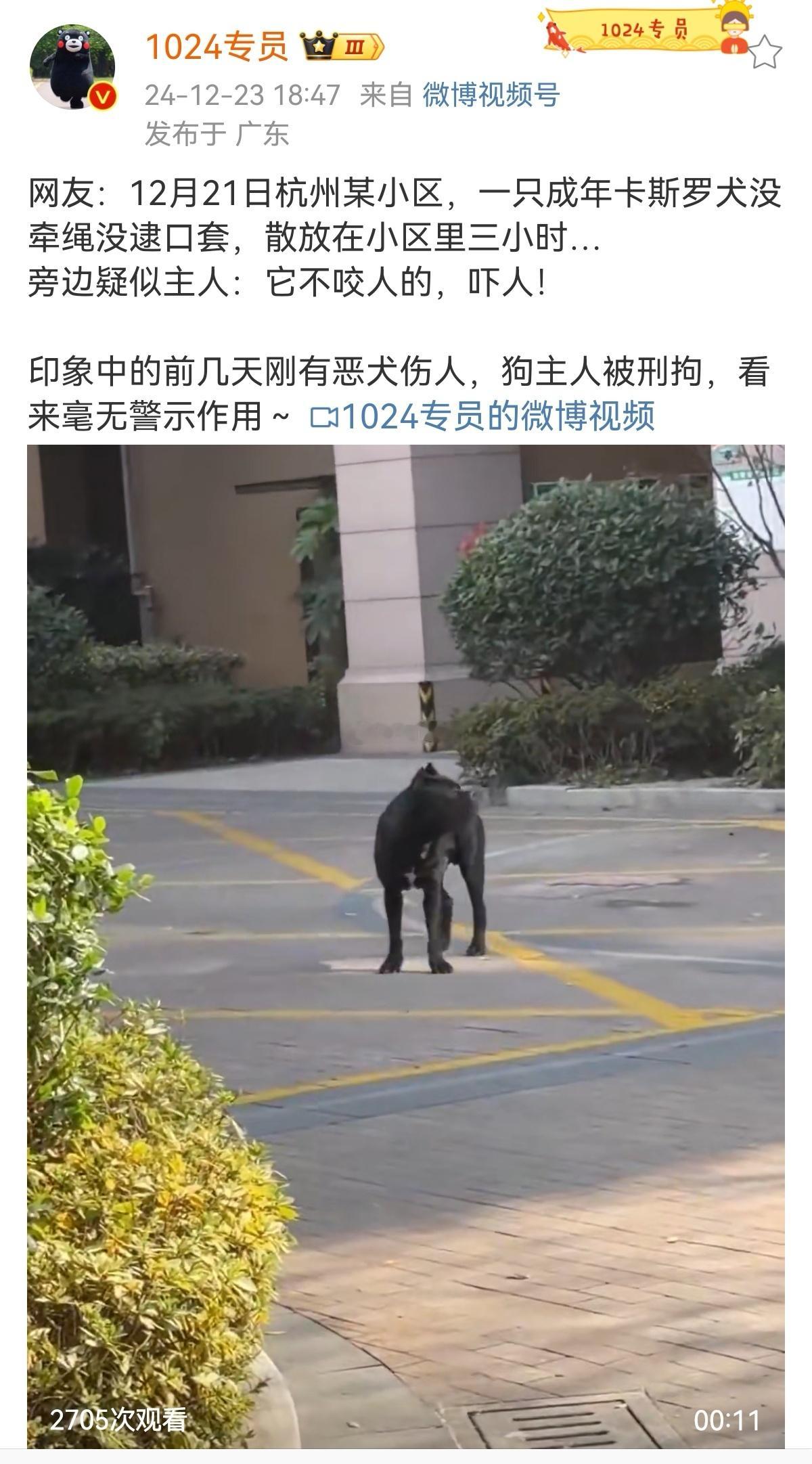 咬人的狗，无人认领的流浪狗，都应该人道消灭，那些真正爱狗的人，第一要拴绳，第二要收养流浪狗，如果不收养，还说爱，那是虚伪的爱，感觉这就是一个阳谋了。