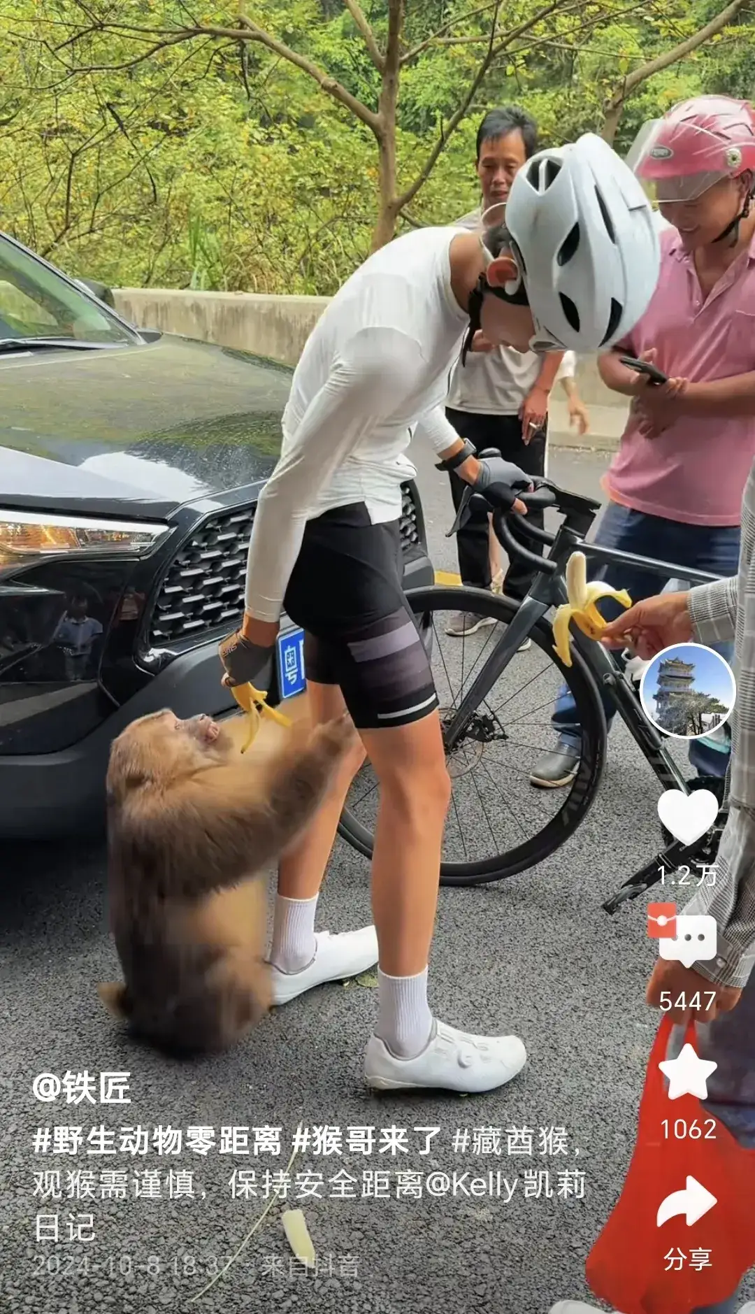 如果旅游遇到这样的猴子，有什么合法的好办法来处理吗？