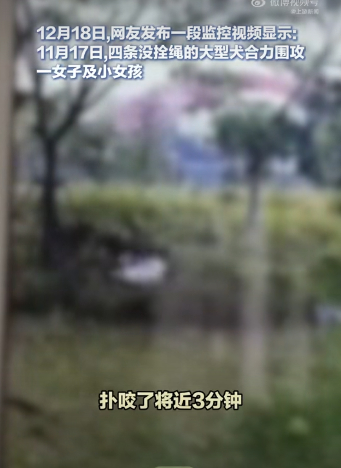 我认为狗主人涉嫌犯罪。
江西赣州一公园内四条大型犬撕咬母女俩，警方已受理。
11月17日上午10时28分许，公园绿化带上，四条没栓狗绳的大型犬围攻一名中年女子及一名小女孩。