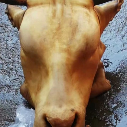 你想想的肯定是牛回头，实际上可能是牛砍头。