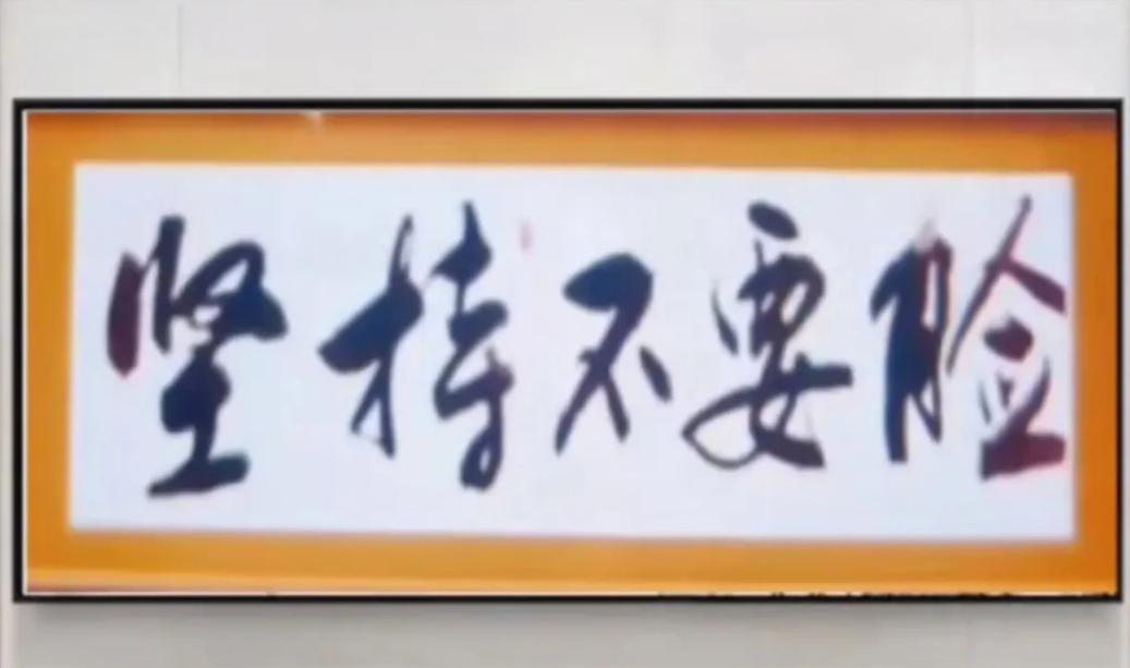 写的就是坚持不要脸，学出龙叫，那也是脸字，没有歧义，没有错误，没有看错，只有故意！