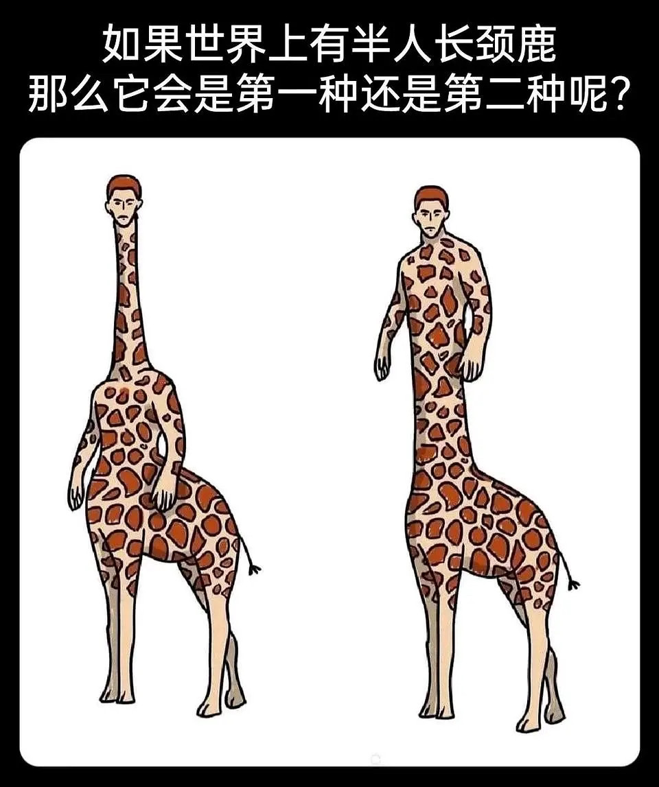 应该是直立行走，前腿进化为手，篮球运动灭绝。