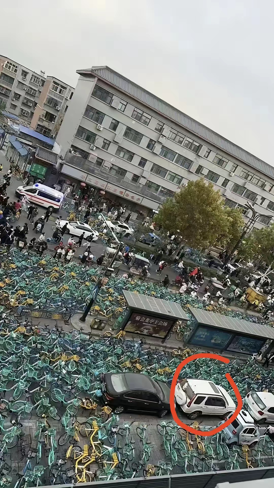 所有的活动，要想获得支持，就不能损害他人利益，尤其不能损害普通人利益，这样他们才会不反对，仅仅不反对而已，要想获得支持，就得为老百姓谋福利，有了利益，他们才会支持，包括线下支持和舆论支持。