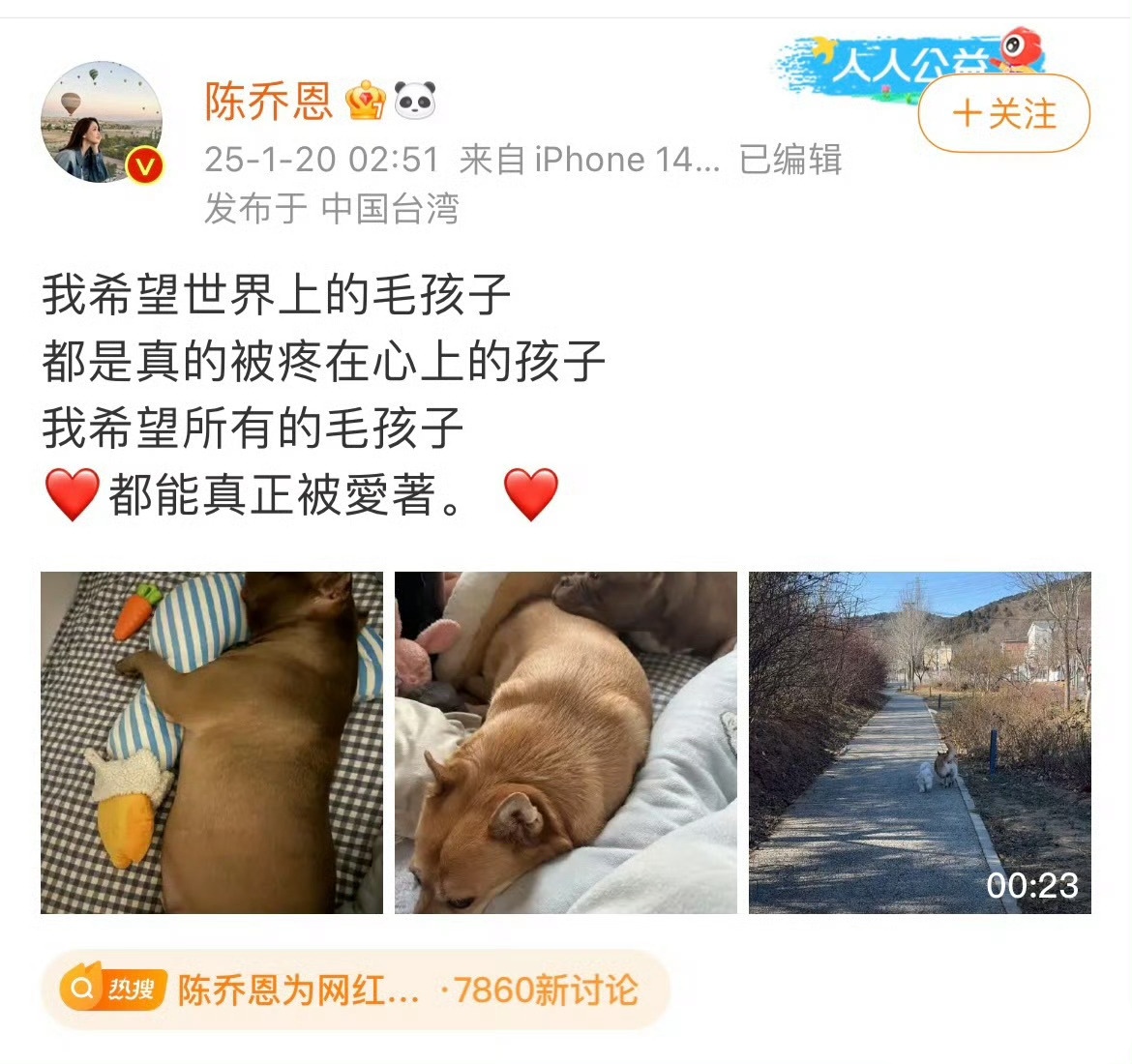 有些人不爱孩子，她爱的是毛孩子。当孩子被咬，差点咬死，她无动于衷，当一条狗死了，她痛彻心扉，这是不正常的三观。
如果一个人真正善良，那就不会诅咒虐待动物的恶人，如果真正善良，那就同样诅咒咬死人的狗才对