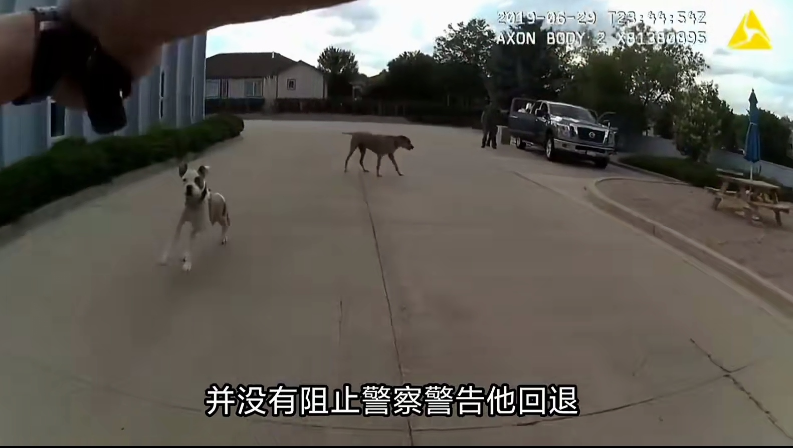 在打击遛狗不拴绳这个问题上，美国警察的做法，可圈可点，警察处警，比特犬冲了过来，被警察开枪打死，避免了人员被狗咬的问题。