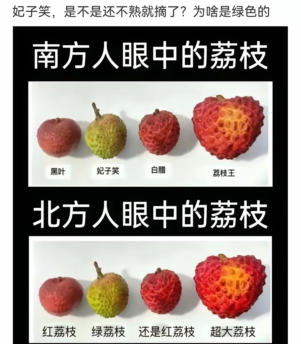 你能认清荔枝的品种吗？