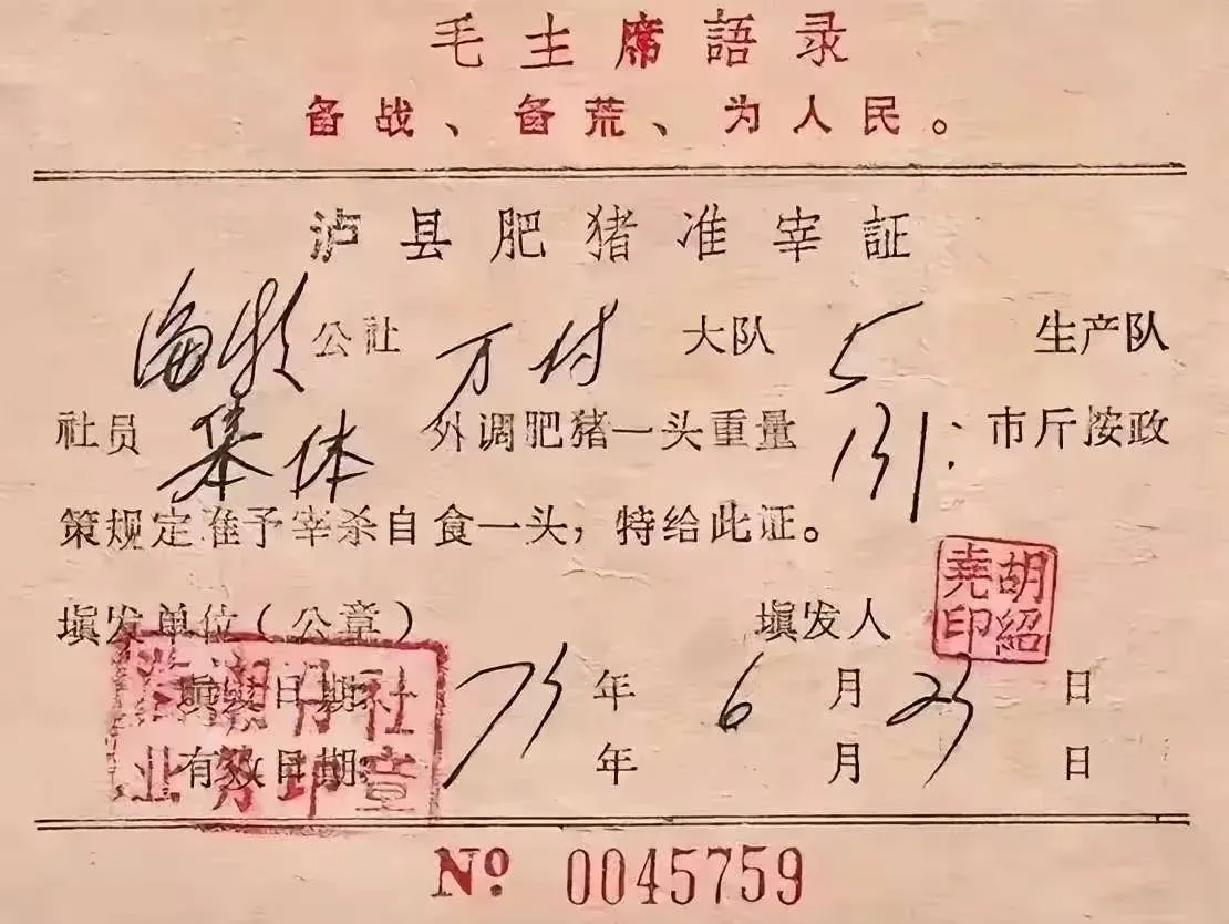73年手写的一张肥猪准宰证。