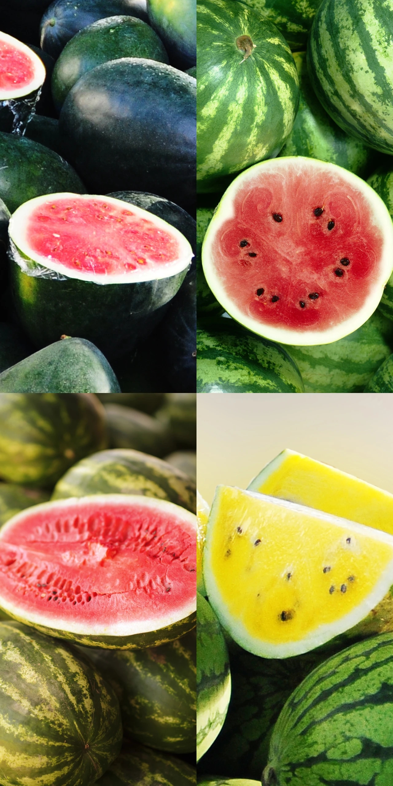 又到了炎炎夏日了啊。夏日炎炎，消暑解渴那就需要多吃点“西瓜”。西瓜，葫芦科。一年生草本。茎蔓性，密生细毛。叶有深缺刻，浓绿。花单性，黄色。瓜呈圆或椭圆形，皮色有浓绿、绿白或绿中夹蛇纹。瓤多汁而甜，浓红