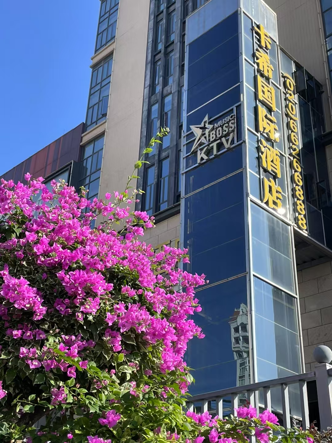 子鼠与午马相冲如何化解?
在十二生肖中子鼠和午马相冲，人们听到冲就怕，其实是可以化解的，相冲在夫妻之间比较忌讳。相冲就是性格不合，例如子鼠属水，午马属火，水火不容，三观不一样的人混在一起肯定有矛盾。
