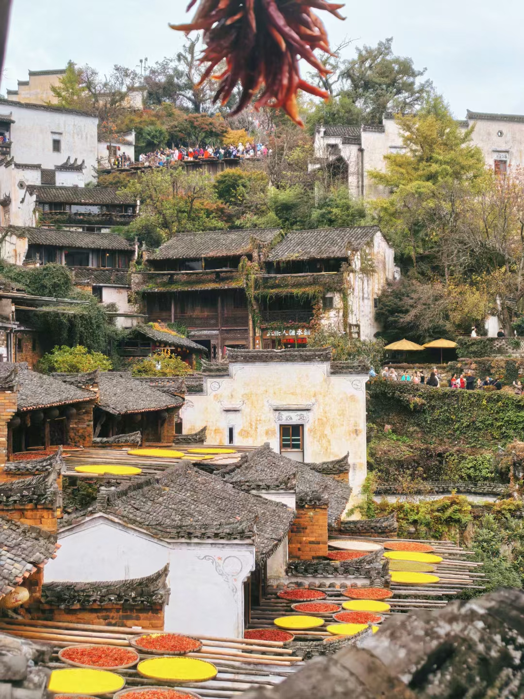 卧室的布局
阳宅三要“门、主、灶”，可见主卧设局布局的重要性，人的一生有三分之一时间在卧室度过，唾眠质量的好坏，直接影响命主的健康和工作，所以卧室布局一定要慎之又慎，不要犯了规矩而影响运程。
一是主卧