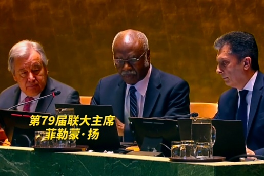 德国前外长贝尔伯克要当联合国