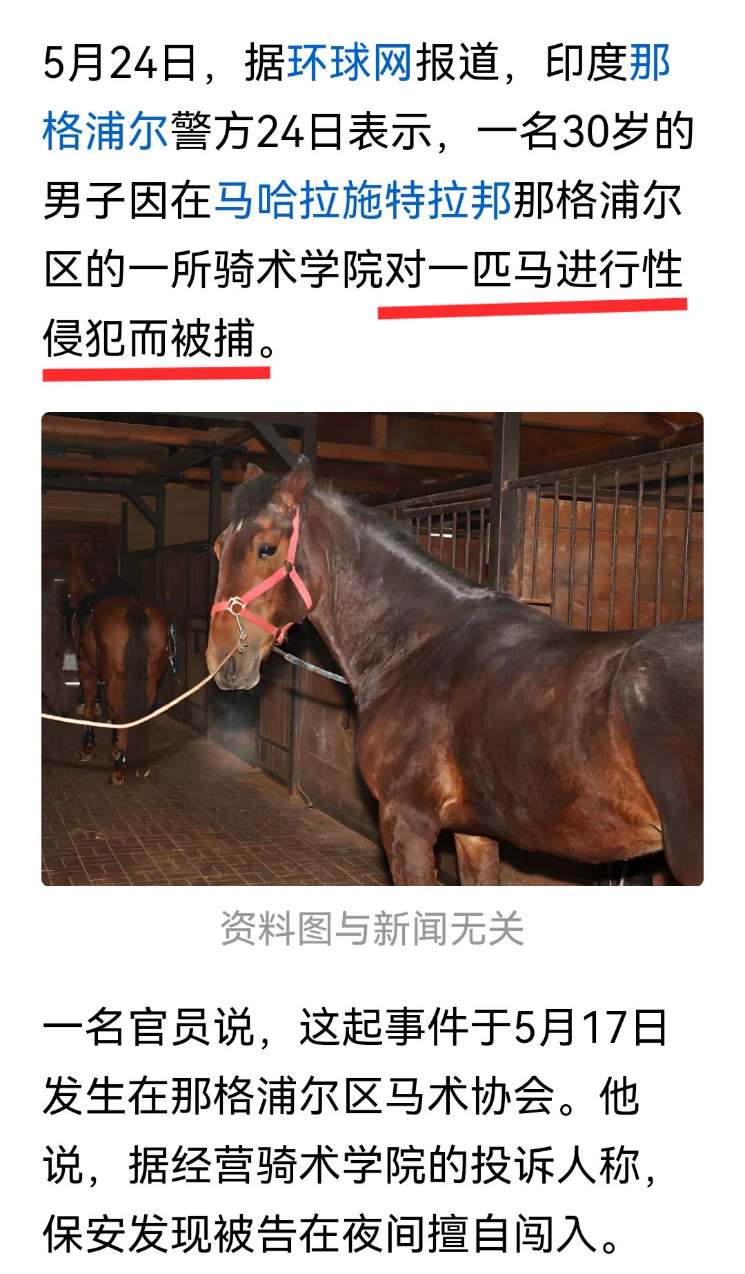 这匹马的心理阴影得有多大啊！白天被印度三哥骑在背上也就罢了，晚上居然还遭受侮辱，往后在马群里还怎么立足呀。
照三哥们的疯狂，以后母蚊子在印度都不敢嗡嗡作响的招摇过市，要是被三哥逮住了，那可有得苦头吃！