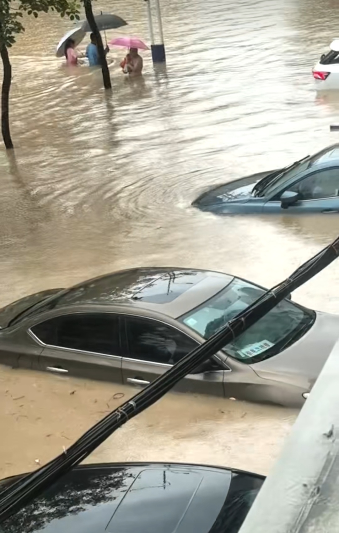 昨天凌晨，深圳、东莞、以及惠州一带的雨真是少见的大，这样的雨势，也只有十年前的台风“山竹”所裹挟的雨水能比。
电闪雷鸣接连不断，而且是那种巨响的雷声，听到花花的雨水声，半夜里不得不起来好几次，生怕雨水