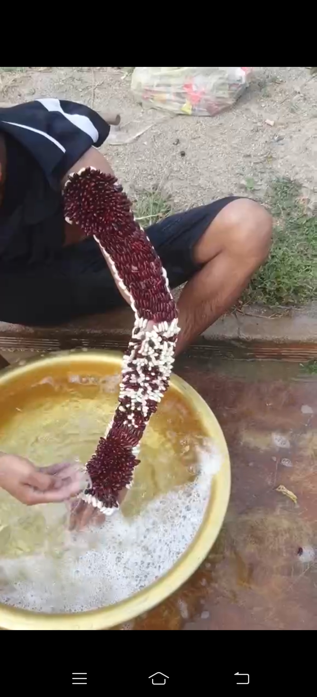 谁能知道这孩子的胳膊上长的是什么，应该不疼，看他清洗的时候，还用了点力气，如果一碰就钻心的疼，他也不敢这么洗。