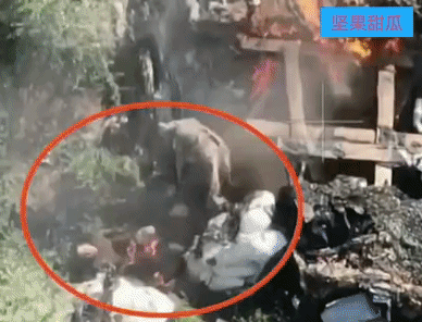乌军躲在树林中的掩体，用原木加固，俄军一架FPV风驰电掣赶来，带了燃烧弹药，击中