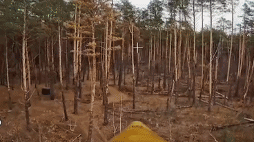 库尔斯克地区，乌军在控制区的树林里构筑了一个林中工事，经过火炮多次修理，不少树木被削了顶，即使如此，还是有乌军在附近努力加固和利用之前战友的工事。

俄军航拍机发现了这一据点，派出FPV左右闪化，绕过