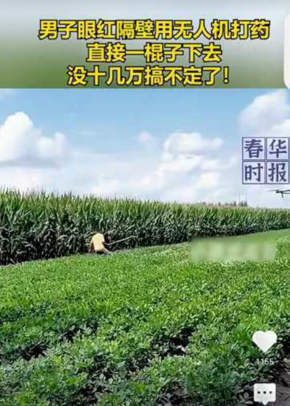 都说乌军铝热无人机厉害，直到看到这个视频，我觉得，太简单了，只需要干树枝一节，它就完蛋了，

那些铝热无人机也就20—30米高，手力大的不是很轻松？