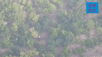 尼古拉耶夫地区，俄军无人侦察机有大收获，一大队乌军的车辆在树林休整，可以发现有一