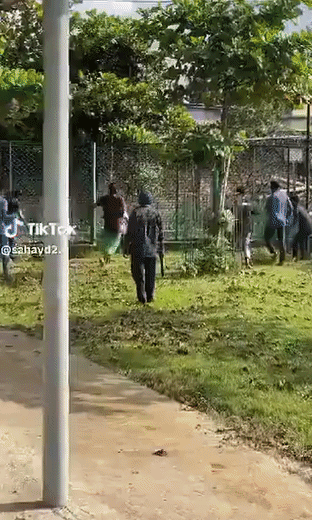 孟加拉国骚乱越来越无耻，竟然连动物园的动物都开始抓了，一群人一起上阵。一个反对派