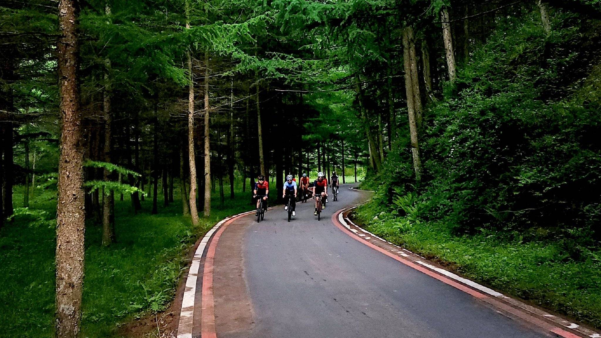 本次山地自行车赛道共21公里！5月30日，2025四川(曾家山)公路自行车赛在广元市朝天区曾家山鸳鸯池森林公园激情开赛。吸引北京、上海、四川，港、澳、台等27个省市地区及哈萨克斯坦、乌克兰、爱沙尼亚等