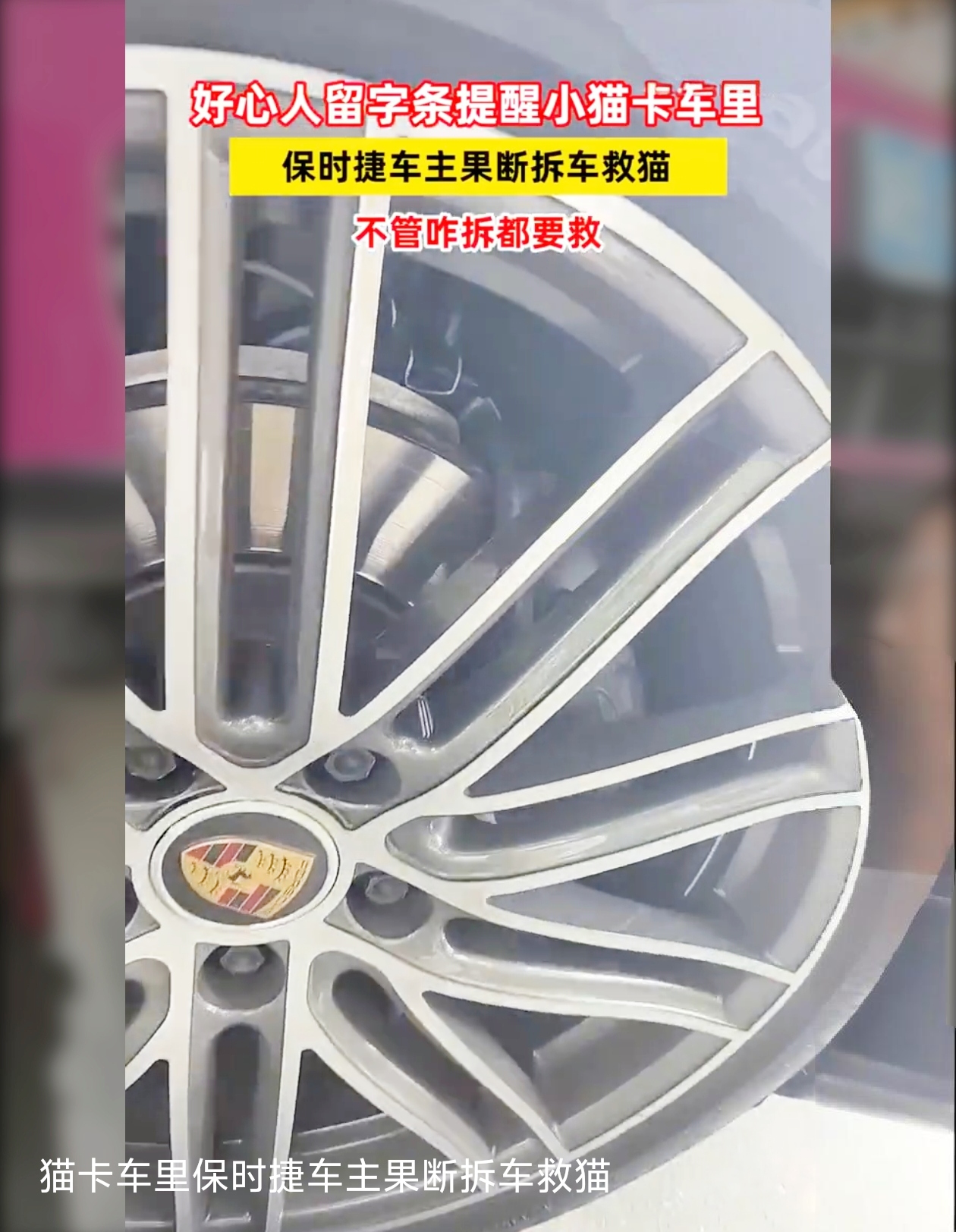 🦁近日，一则令人动容的新闻在网上引发热议。浙江一位女子的保时捷发动机内竟惊现小猫。面对这一情况，她没有丝毫犹豫，果断决定拆车救猫。
 
🐱当修车师傅忙碌地拆解豪车时，女子那坚定的眼神仿佛在诉说着对