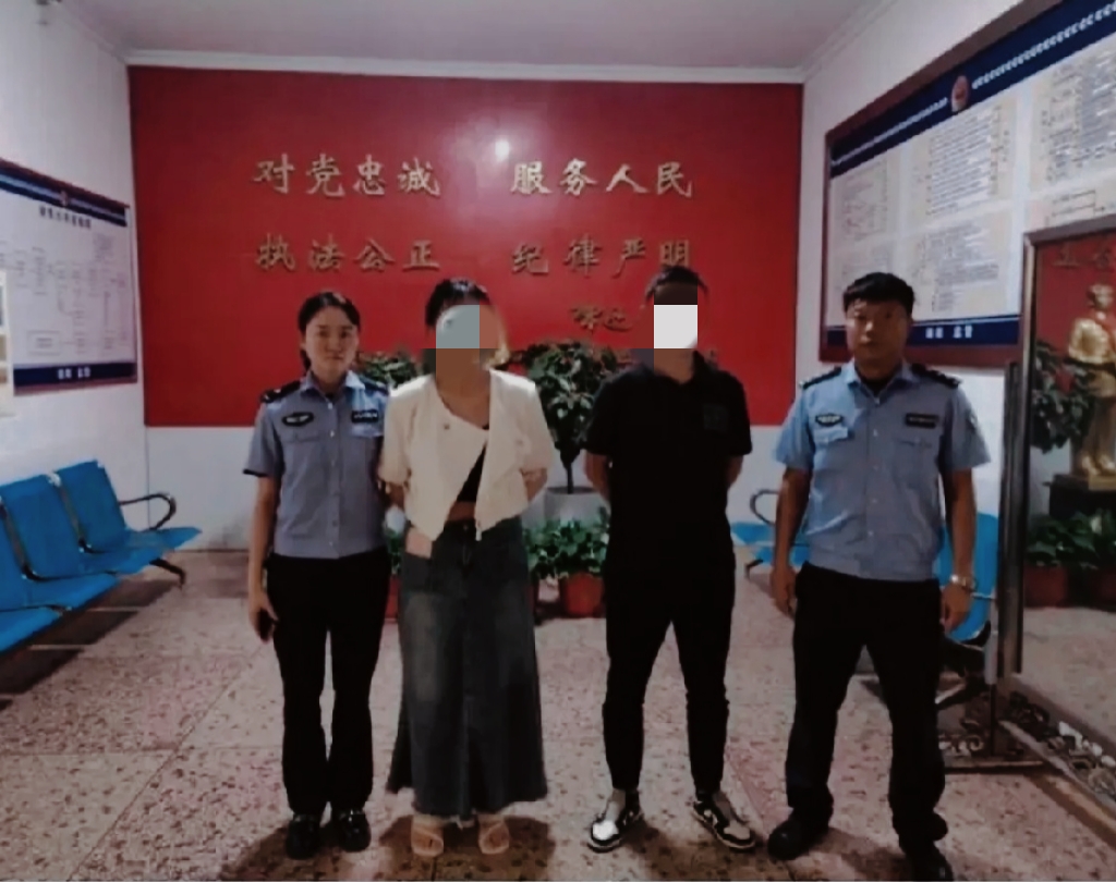 在湖南湘潭的某个角落，一场精心策划的阴谋悄然上演。朱先生，一位事业蒸蒸日上的已婚