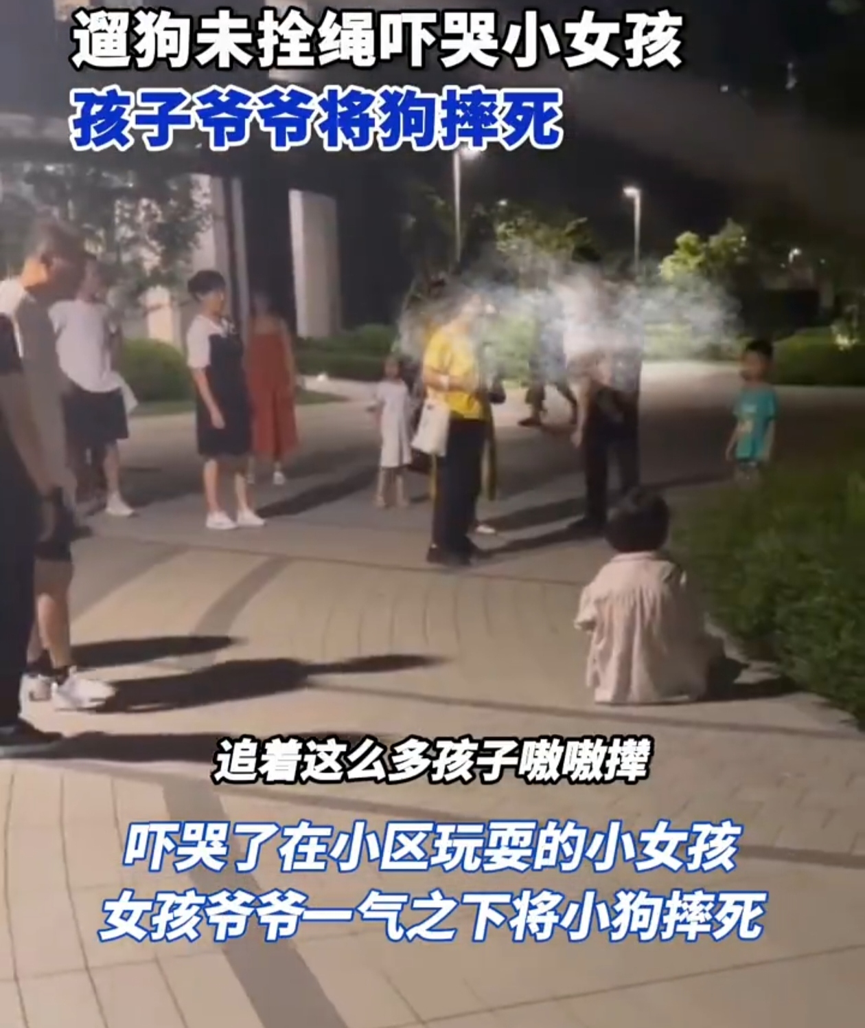 💥杭州小区宠物狗之死引争议💥
 
😢宝子们，最近浙江杭州发生了一件让人痛心的事情。一女生在小区遛狗没牵绳，结果小狗吓到了在小区玩耍的小女孩。女孩爷爷一气之下竟把小狗摔死了。😫
 
据目击者说，