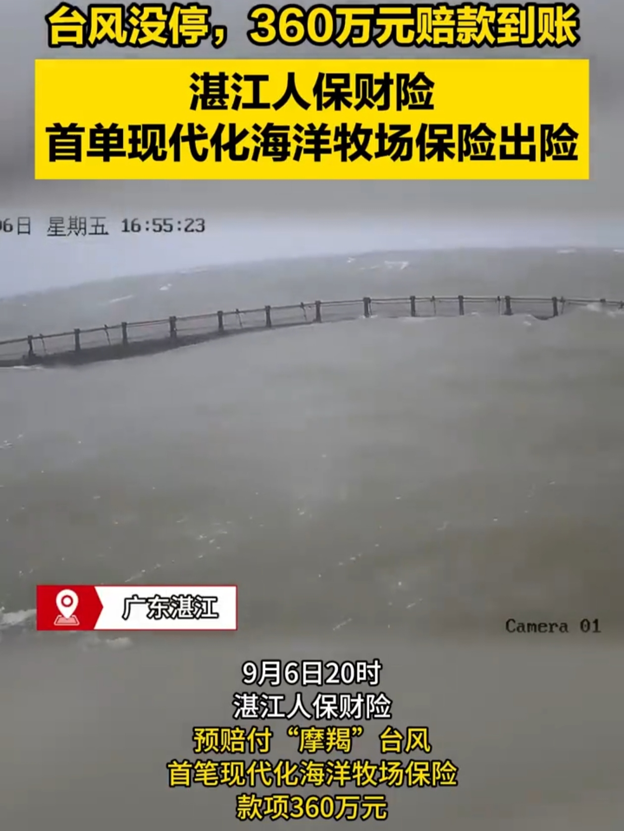 当台风“摩羯”还在肆虐，就像一头凶猛的野兽冲击着湛江大地时，一个令人振奋的消息传来。9 月 6 日 20 时，湛江人保财险预赔付首笔现代化海洋牧场保险款项 360 万元。🎊
 
徐闻国桥深海养殖有限