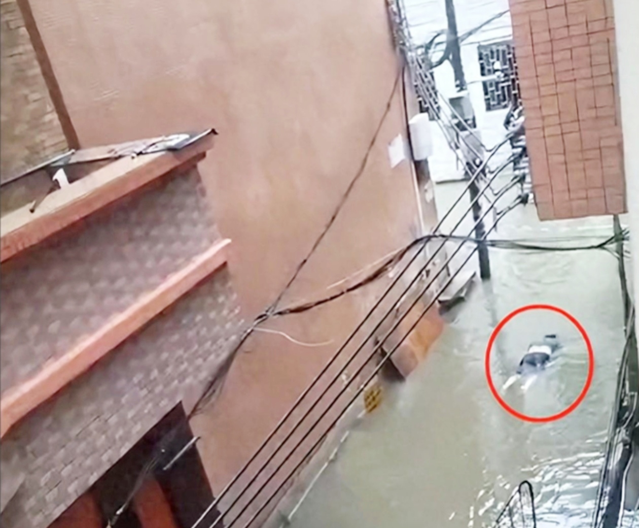 广州番禺暴雨后，居民触电悲剧震惊全网！积水中的隐形杀手，让我们不得不重新思考安全