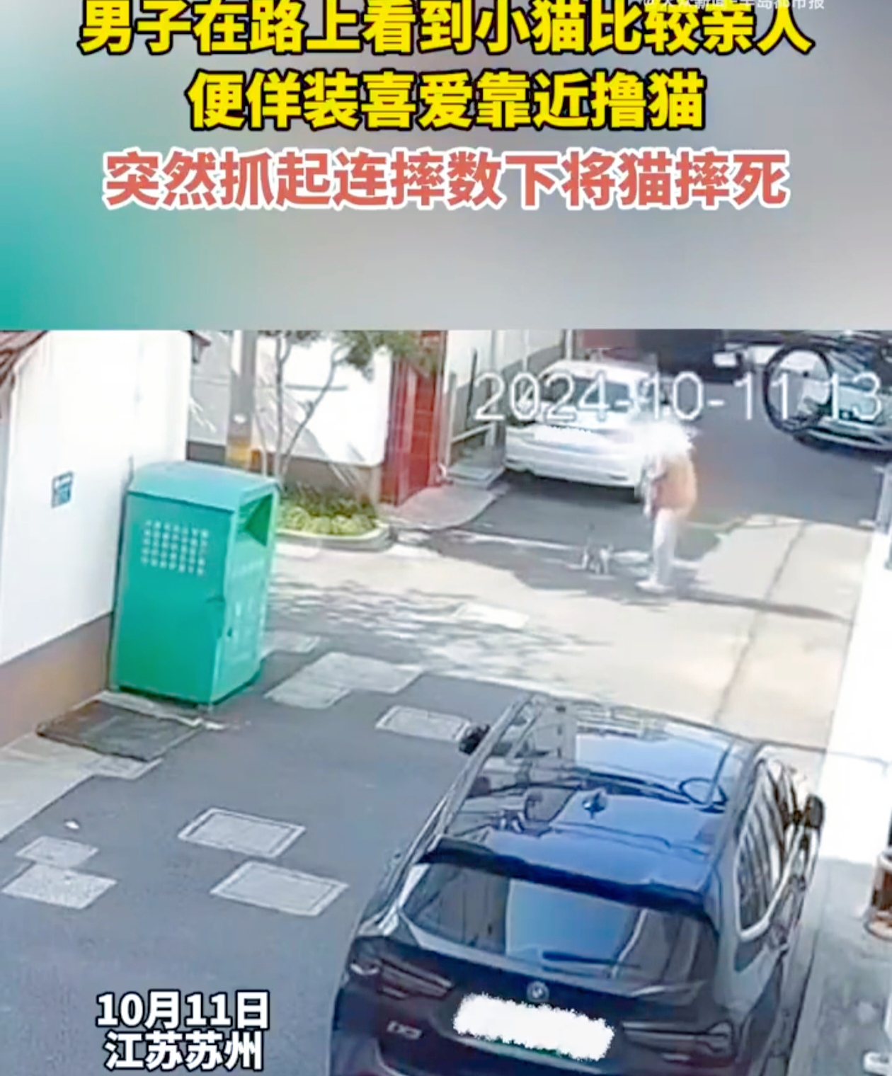 在江苏苏州，一件奇葩的事件正在发生！10 月11 日，一名男子在路上偶遇一只可爱的小猫，本以为会是一场温暖的邂逅，然而，谁能想到这竟是一场噩梦的开始。男子佯装喜爱靠近小猫，可突然之间，他就像恶魔附体一