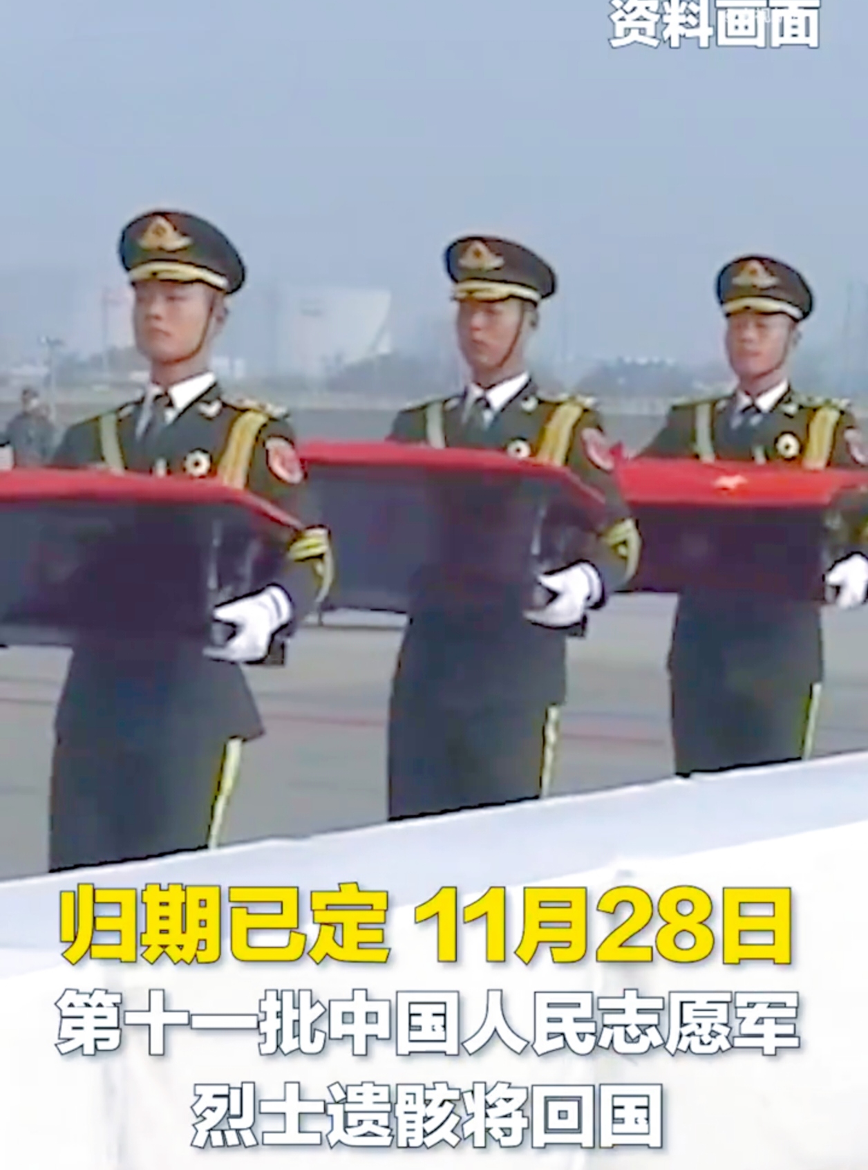 英雄归故里，浩气存千秋。

近日，一则消息牵动着无数国人的心弦：第 11 批在韩志愿军烈士遗骸将于 11 月 28 日回国，43 位英烈将跨越重洋，魂归故土。
 
想当年，他们告别家乡，奔赴烽火连天的