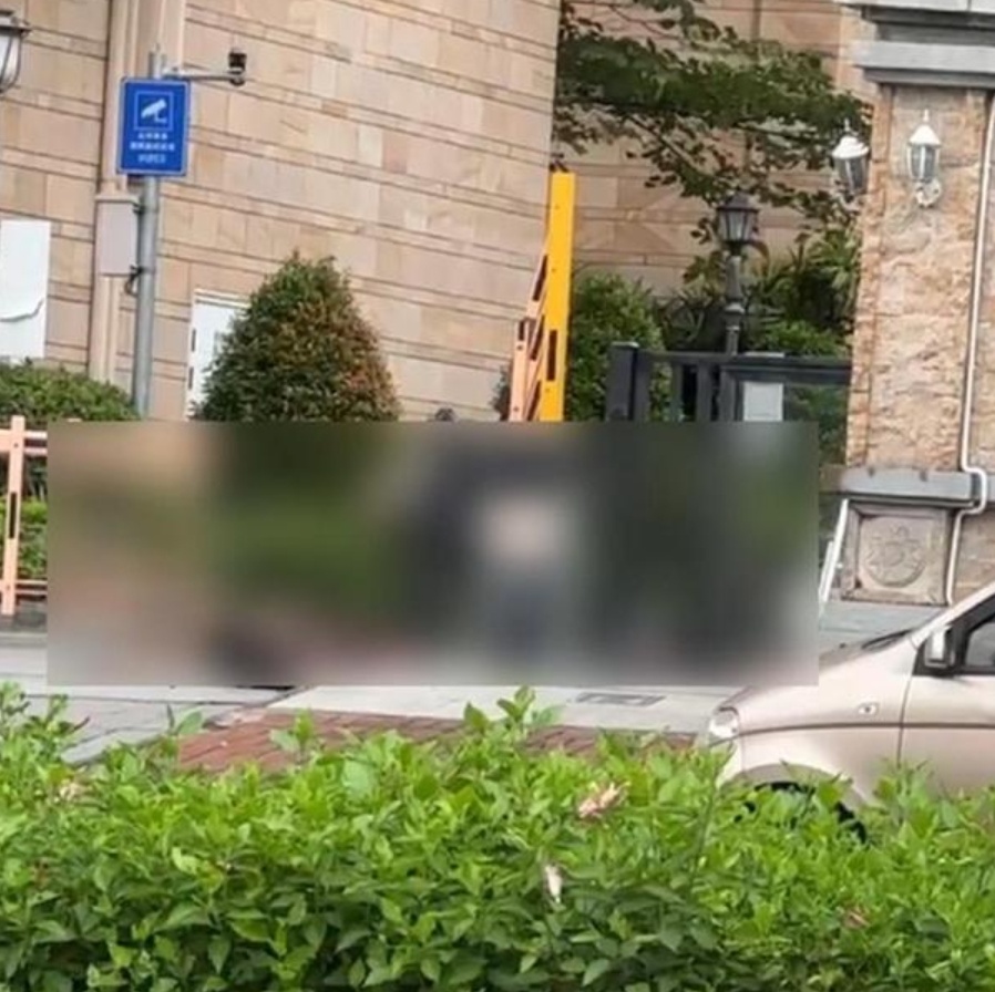 6月28日傍晚，防城港市港口区一小区内发生了一起震惊的故意伤害案件，导致两人不幸丧生。警方迅速反应，现场抓获了嫌疑人陈某某，一名小区保安。初步调查显示，陈某某与受害人李某、王某某因琐事产生争执，情绪失