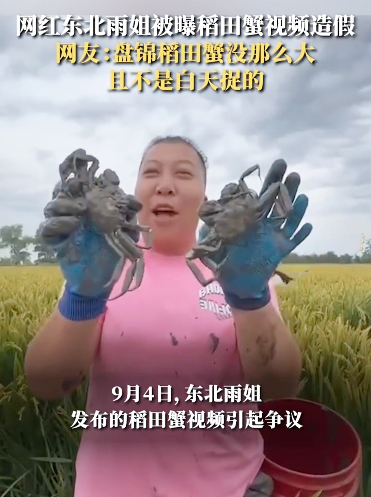 最近，东北雨姐发布的稻田蟹视频在网上掀起了一阵波澜。就像平静的湖面被投入了一颗巨石，泛起了层层涟漪。🎣
 
事情是这样的，部分自称当地养殖稻田蟹的村民在评论区晒出各种证据，指出视频中的稻田蟹存在问题