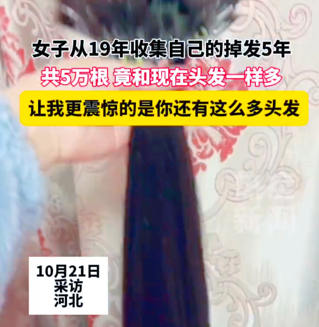 在河北，有一位女子的举动引发了众人的关注。她就像一个默默的记录者，从 2019 年开始收集自己的掉发，这一坚持就是五年。
 
这位女子在五年间竟收集了五万多根掉发，数量与自己现在的头发差不多。她感慨万