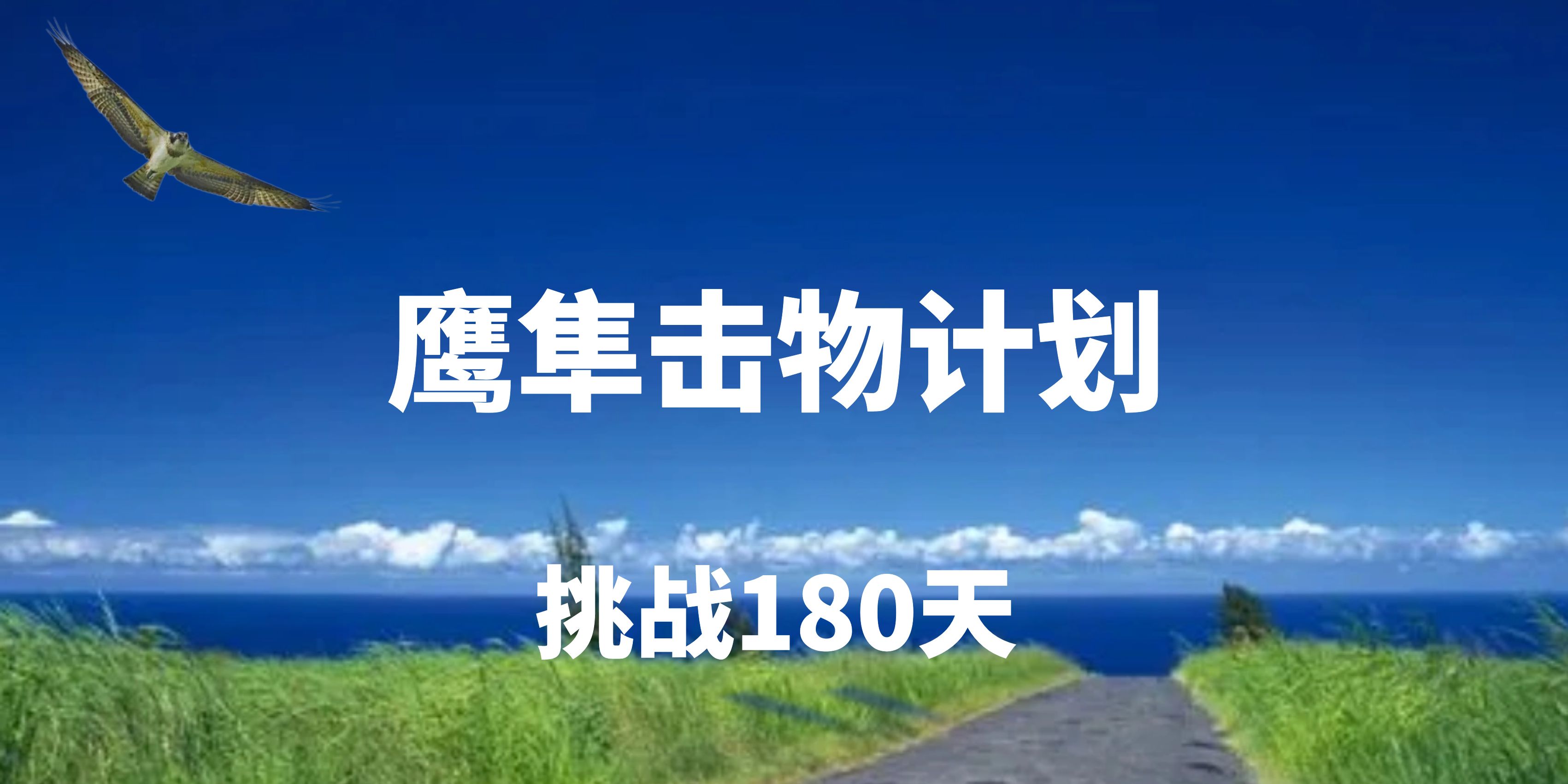 第2期鹰隼击物计划（180天）挑战目标
1、完成3本培训师专业书稿的校稿修改。
2、完成408个培训师实战案例的编撰。
3、完成1部20万字左右的长篇小说创作。
4、完成之前1600多首诗歌的汇编整理