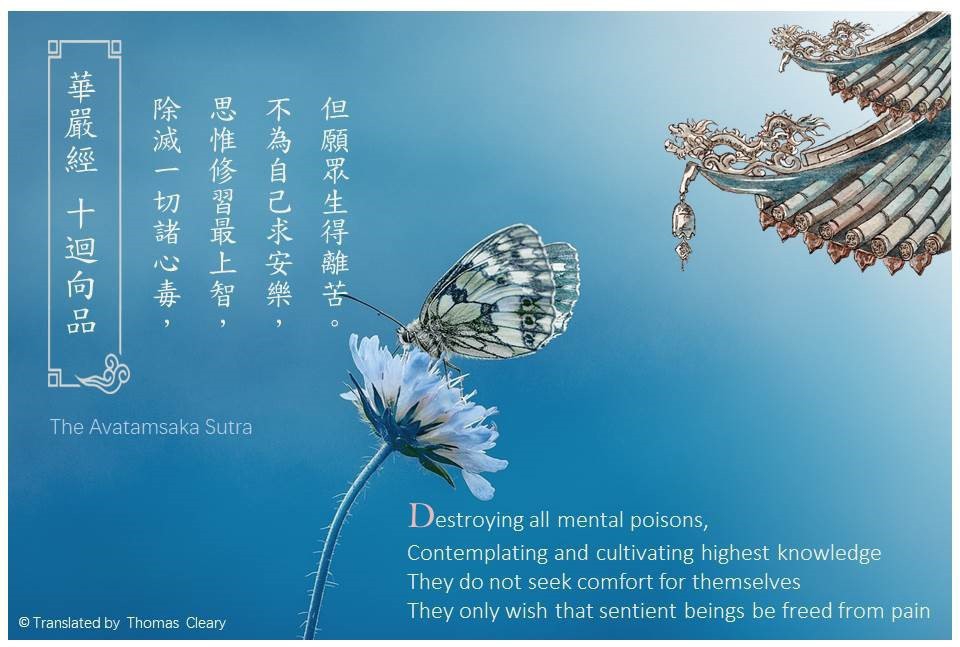 除减一切诸心毒，思惟修習最上智，
不為自己求安樂，但願眾生得離苦。