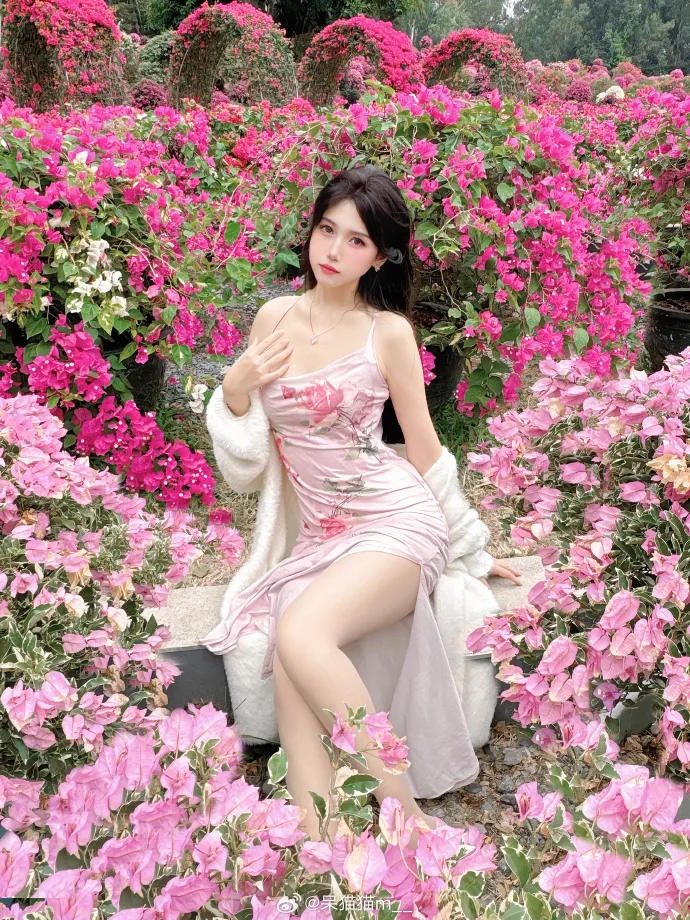 赏析美好第1203篇～呆猫猫