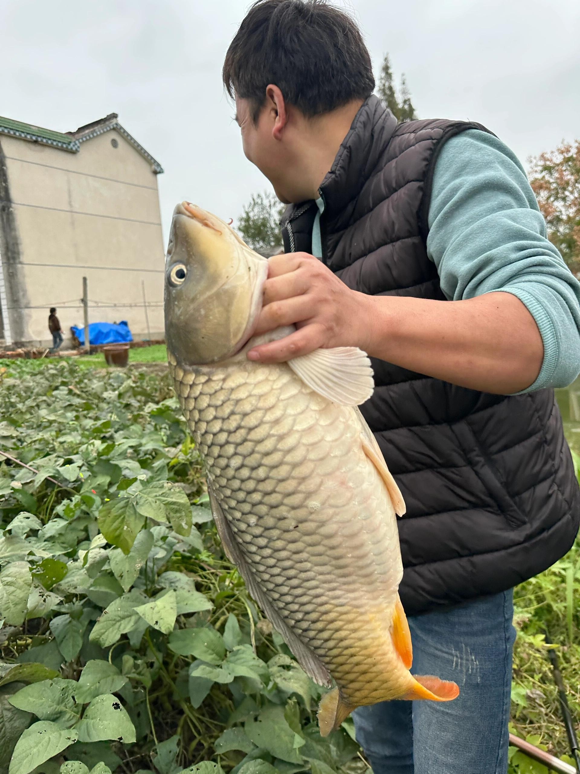 今天去河边钓鱼发现了一件有趣的事情，大家伙一起来看看吧！
 
早上选好一处安静且水看起来较深的位置后，我便熟练地摆弄起钓具。挂上鱼饵，轻轻一甩竿，鱼线在空中划过优美弧线，“噗通”落入水中，溅起小小的水