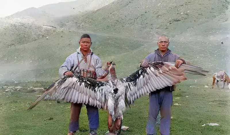 民国时期的两个猎人，他们抓住了一只鹰。

在那个年代，野生动物非常多，许多人以打猎为生。左边那个人的手上绑满了弹夹，看来他们的装备还挺好的。